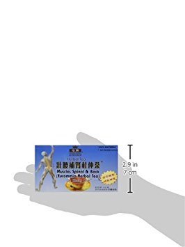 Muscles Spinal & Back Eucommia Herbal Tea - 20 Bags