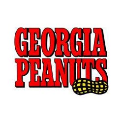 4 Pack of 18oz Georgia Fried Peanuts