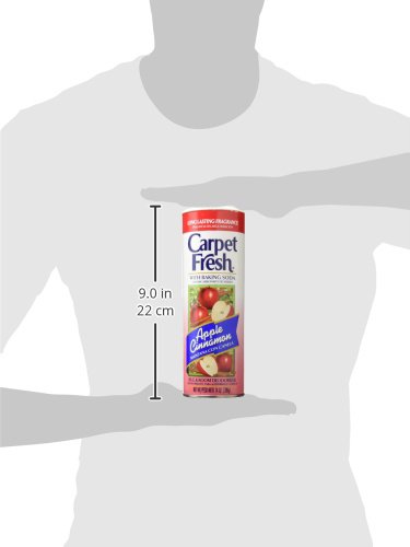 DEODORIZR APL CNAMN 14OZ