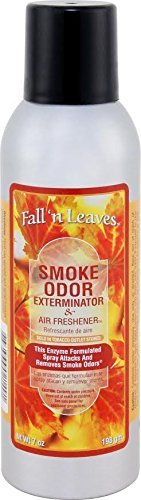 Smoke Odor Exterminator 7oz Large Spray, Fall N Leaves