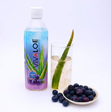 VIVALOE Blueberry Aloe 16.9fl oz (12 Pack)