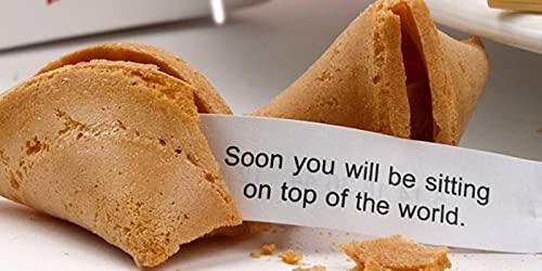 Shop and Save Individually Fresh crispy Wrapped Fortune Cookies Perfect for Snacks,Lunch,Picnic,Birthdays,Graduation,Parties (Citrus,60)