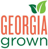 4 Pack of 18oz Georgia Fried Peanuts