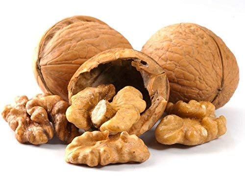 Walnuts In-shell (Whole) (10 LB)