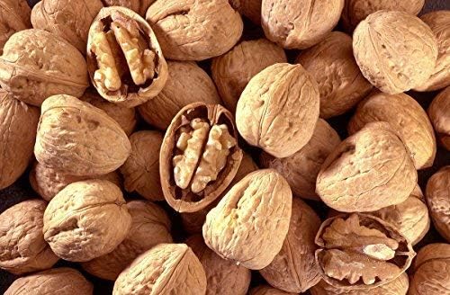 Walnuts In-shell (Whole) (10 LB)