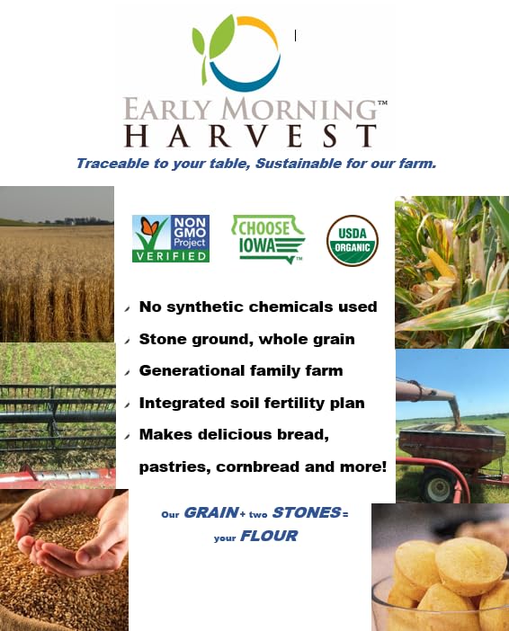 Early Morning Harvest Organic General Purpose Flour - Made from Non-GMO Whole Wheat - Stone Ground All Purpose Flour for Baking and Cooking, Whole
