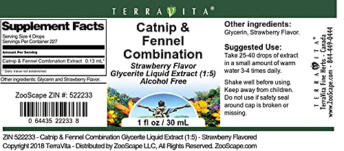 Catnip & Fennel Combination Glycerite Liquid Extract (1:5) - Strawberry Flavored (1 oz, ZIN: 522233) - 3 Pack