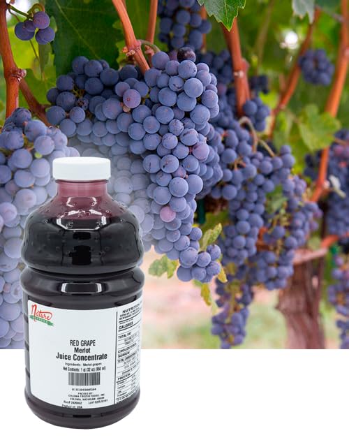 Nature Blessed 100% Pure Merlot Red Grape Fruit Juice Concentrate - 4 Quarts (4/2 fl oz bottles) Excellent for Home Brewers or Vintners, Spirits