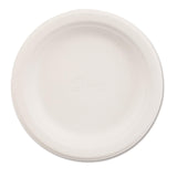 HUH21225PK - Chinet Paper Dinnerware