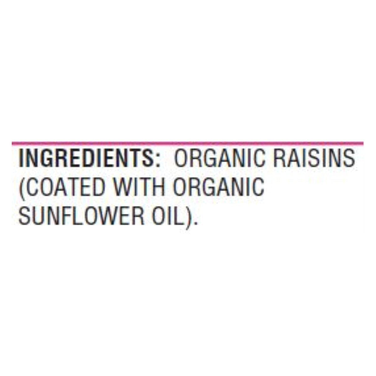 Woodstock Farms Organic Thompson Raisin 13 Ounce (Pack of 8)
