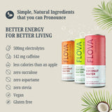 Flova Lemon Lime Energy Drink, All Natural, Electrolytes and Minerals from Coconut Water, 4 Simple Easy to Pronounce Ingredients, 99% Juice, Pack
