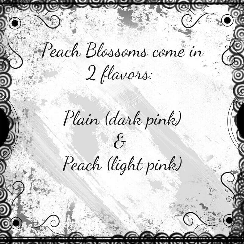 Plantation Candy, One Pound Gift Bags (Peach Blossoms - Plain)