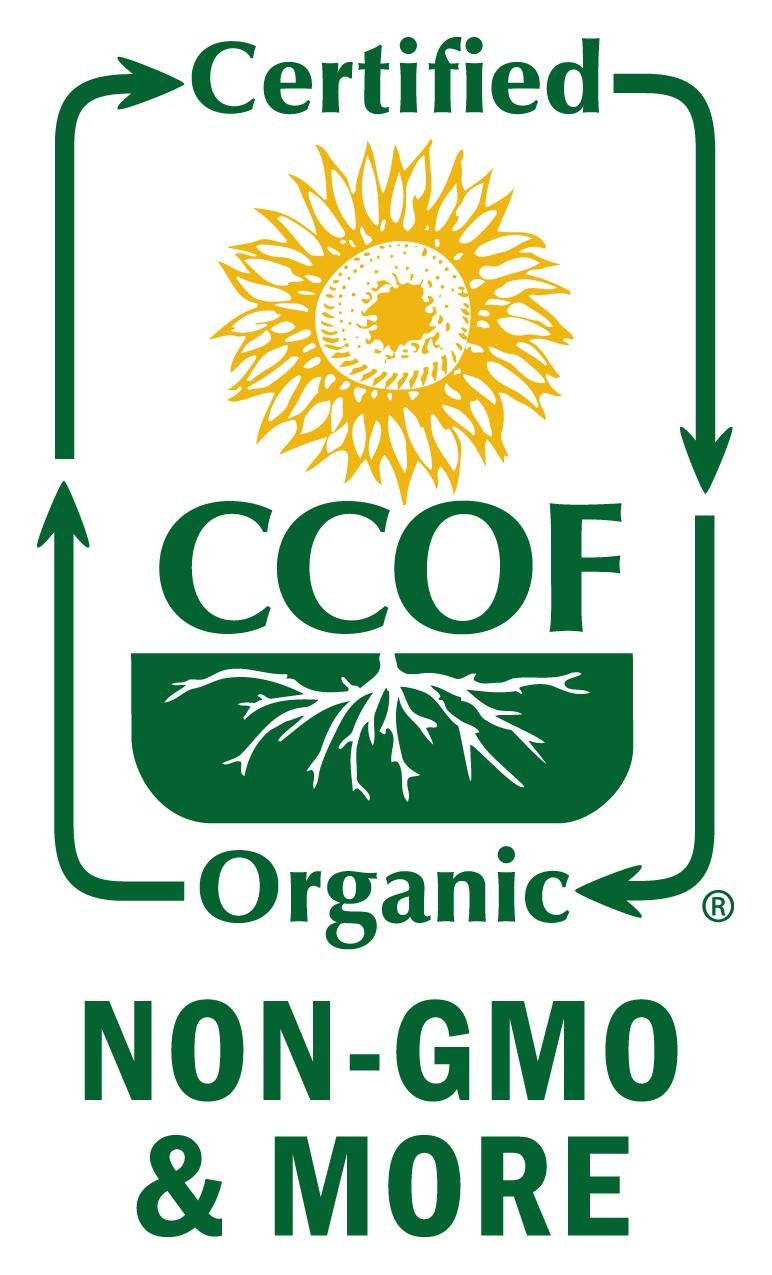 Organic Hard Red Cracked Wheat Cereal - 2lbs