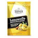 Sconza large Pouch Confections Lemoncello Almonds Zipper Pouch, 24 Ounce