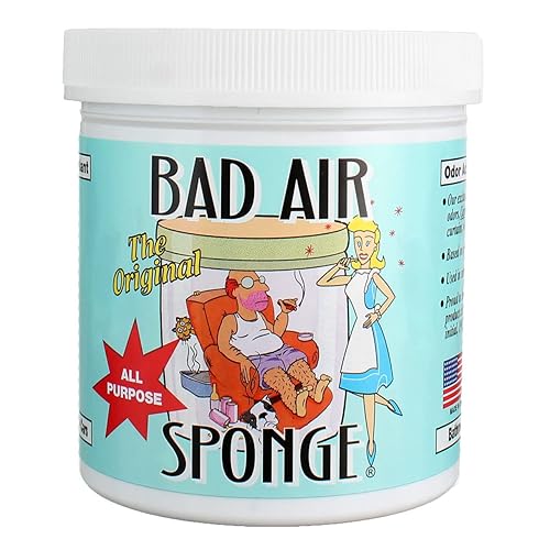 Bad Air Sponge Air Odor Absorbent, 14 ounce, 2-Pack