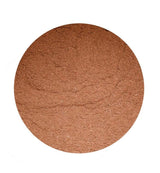 Consult Health BIG NRG Energy Infused Satiety Shake - Chocolate Flavor - Energy Infused Powder Shake Mix - Helps Bridge Hunger-gap Between Meals