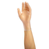AmerCare Verge Powder Free Gloves, Vinyl, Medium, Case of 1000