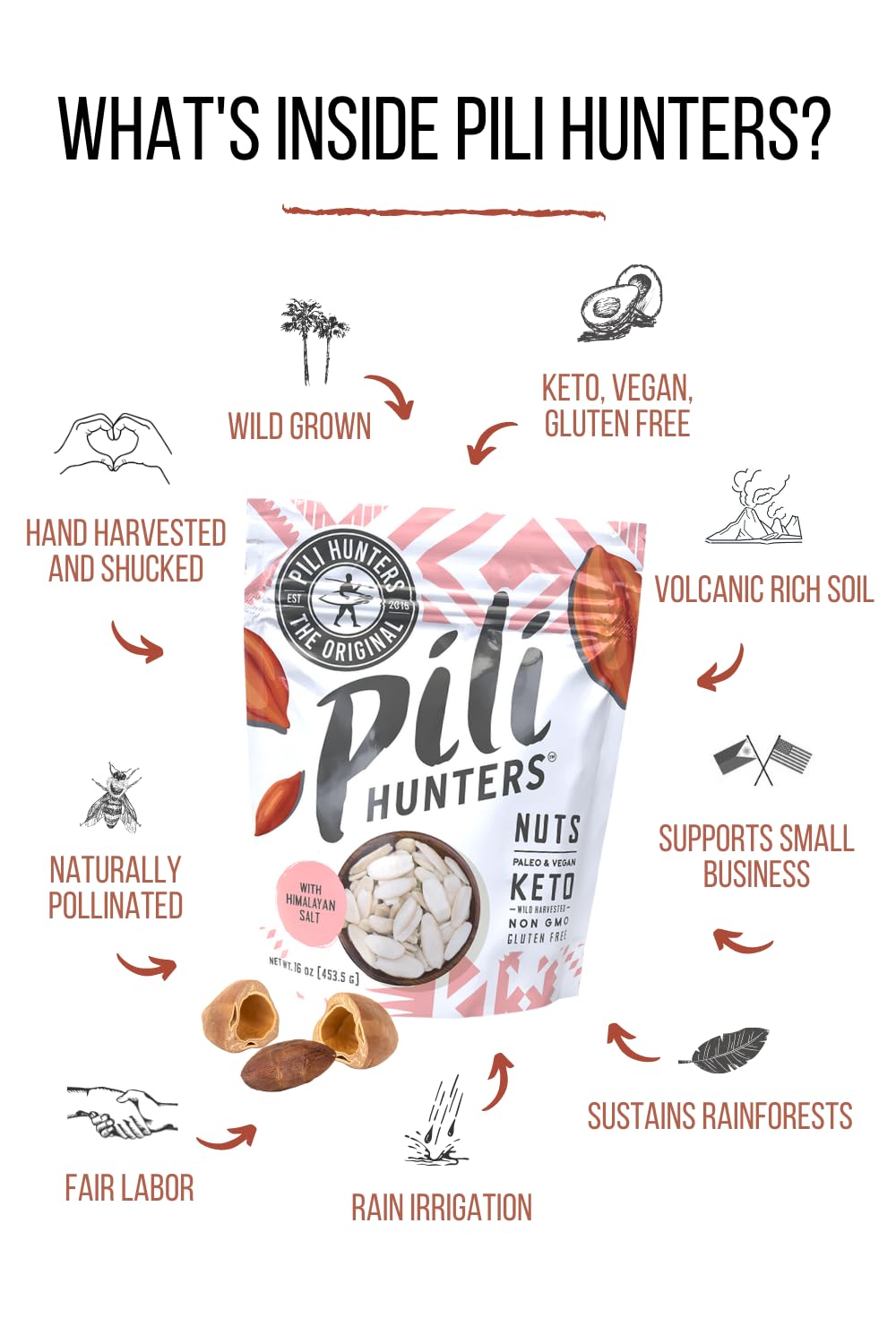 Pili Hunters - Wild Sprouted Pili Nuts, Pink Himalayan Salt, 5oz Bag, Keto/Paleo/Vegan Snacks, Low Carb Energy, Gluten Free, No Sugar Added