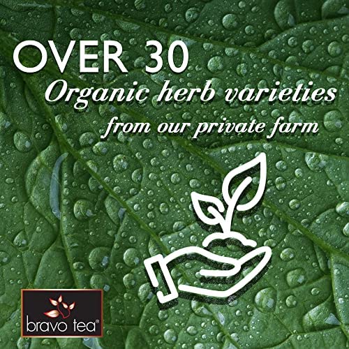 Bravo Tea Cordyceps Mushroom Herbal Tea, Caffeine Free 20 Tea Bags