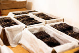 25 Burundi Vanilla Beans Whole Grade A Pods for Homemade Vanilla Extract, Baking, Ice Cream, Flavoring, & Powder