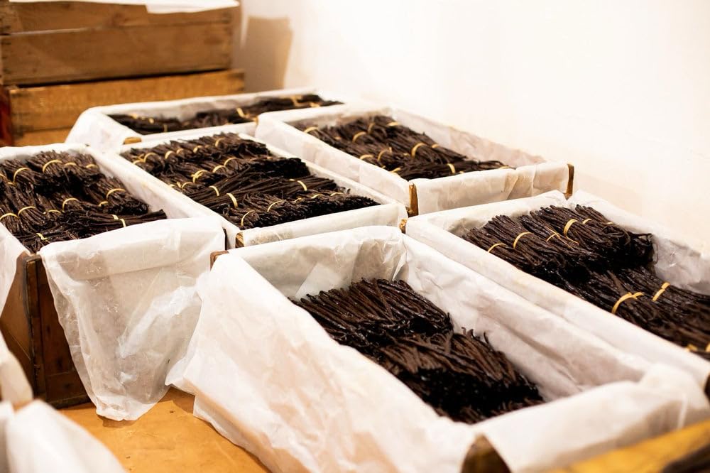 25 Burundi Vanilla Beans Whole Grade A Pods for Homemade Vanilla Extract, Baking, Ice Cream, Flavoring, & Powder
