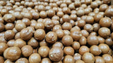 Macadamia Nuts - In shell (whole) Medium size (5 LB)