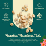 Hamakua Macadamia Nuts - Unsalted Hawaiian Grown Dry Roasted Half and Whole Macadamias without Salt - Natural Eco-Friendly Large Macadamia Nuts (10 oz