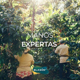 Cafe organico Blason de Oaxaca, cafe premium libre de OGM. 340g