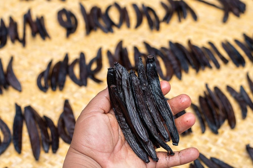 10 Guatemalan Vanilla Beans Whole Grade A Vanilla Pods for Homemade Vanilla Extract, Baking, Ice Cream, Flavoring, & Vanilla Powder