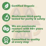 Harmonic Grounds Dark Roast Mushroom Coffee | Organic Ground Coffee with Functional Mushrooms | Lion’s Mane, Reishi, Chaga, Cordyceps, Turkey Tail |