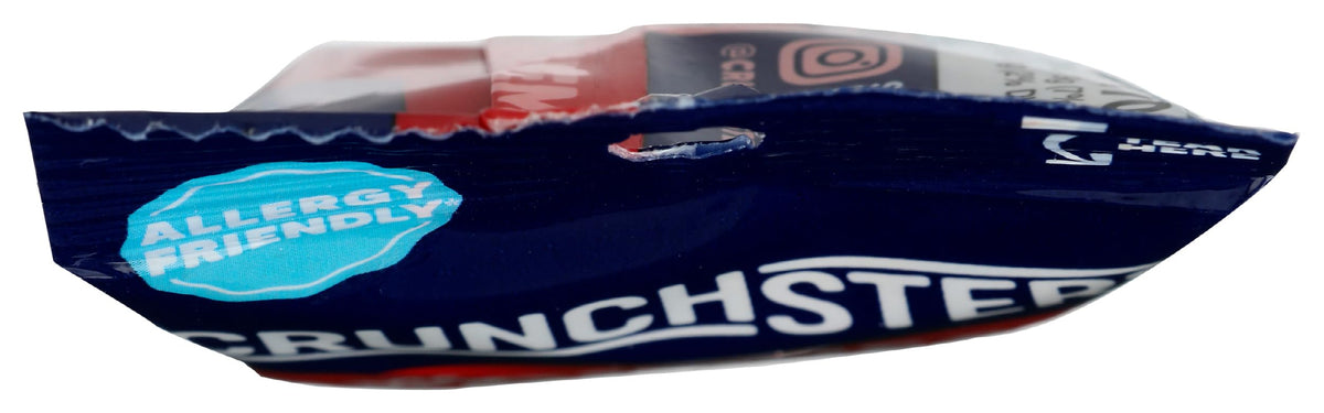 Crunchsters, Protein Snack Sprouted Barbeque, 1.3 Ounce