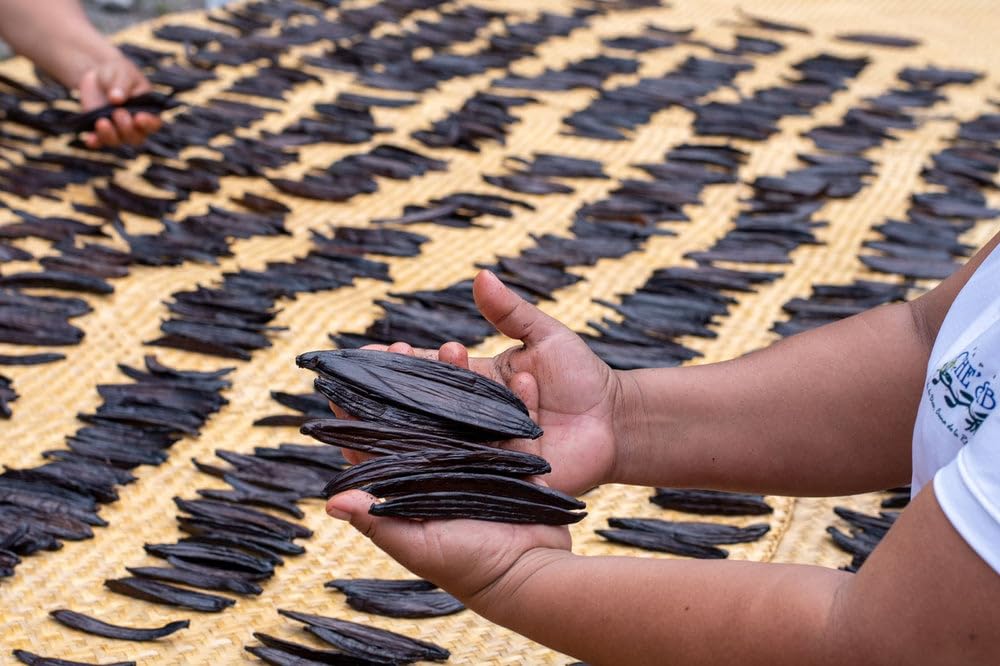 10 Guatemalan Vanilla Beans Whole Grade A Vanilla Pods for Homemade Vanilla Extract, Baking, Ice Cream, Flavoring, & Vanilla Powder