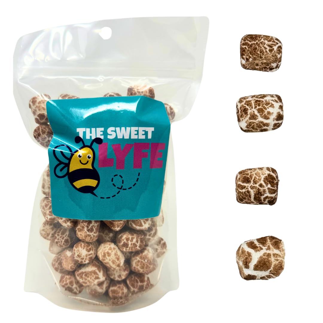 Freeze Dried Hot Chocolate Marshmallows 2.5 oz - Freeze Dried Candy by The Sweet Lyfe