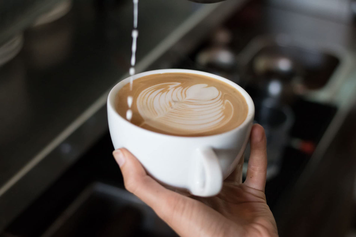 Buddy Brew Coffee, Medium/Dark Roast Whole Bean - Double Dog Espresso - 2lb Bag - single origin - dark chocolate, candied lemon - Ships within 24 hrs.
