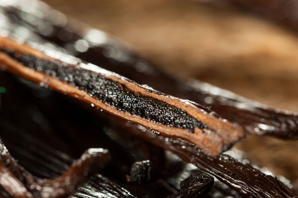Papua New Guinea Vanilla Beans Whole Grade A Vanilla Pods for Homemade Vanilla Extract, Baking, Ice Cream, Flavoring, & Vanilla Powder (8 Ounce)