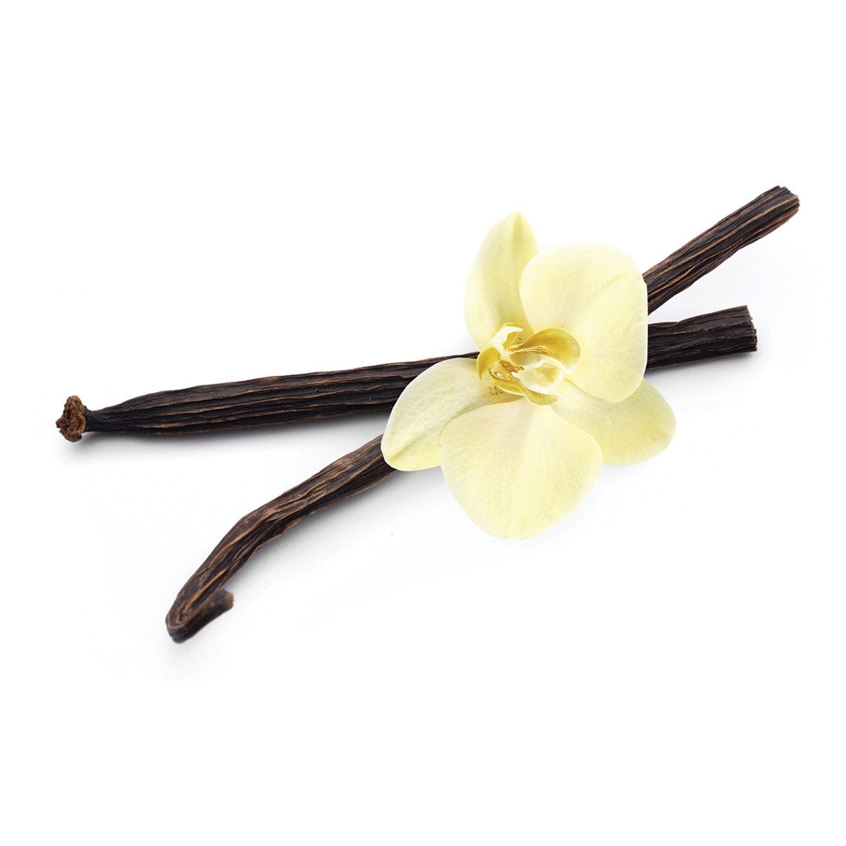 MCCREA Caramel Vanilla, 5.5 OZ