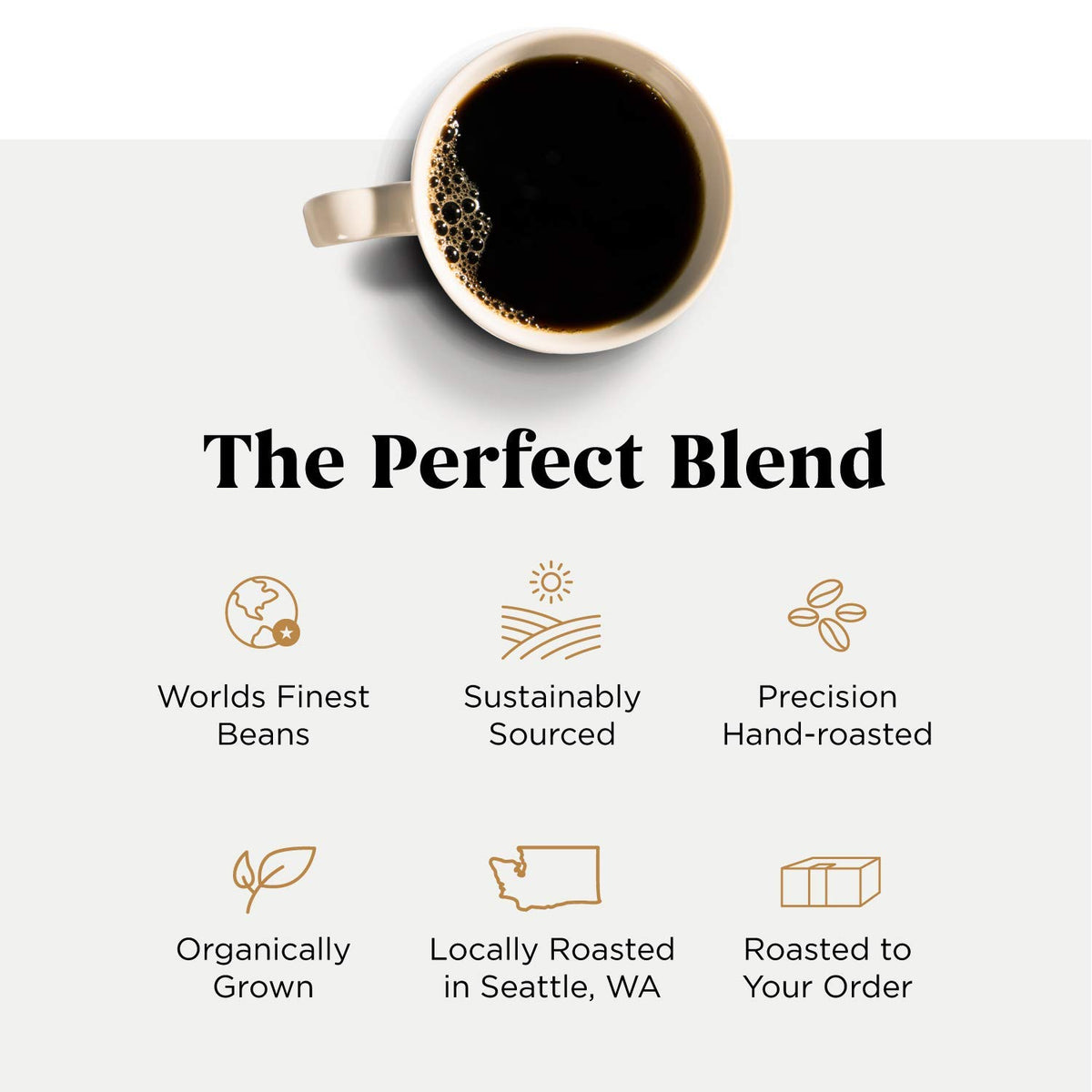Storyville Coffee Epilogue (Decaf) | Premium Whole Bean Fresh Roasted Coffee Beans Medium Roast | 8 Ounces