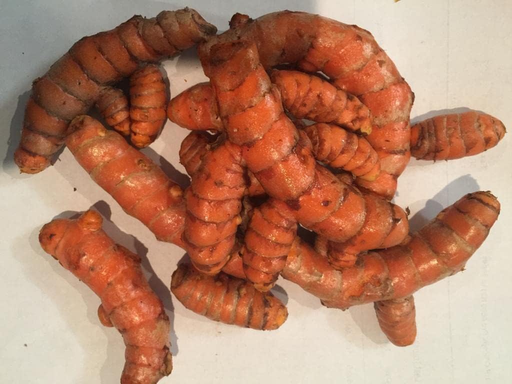 Fresh Organic Turmeric Root - 5 Lbs Whole Raw Root