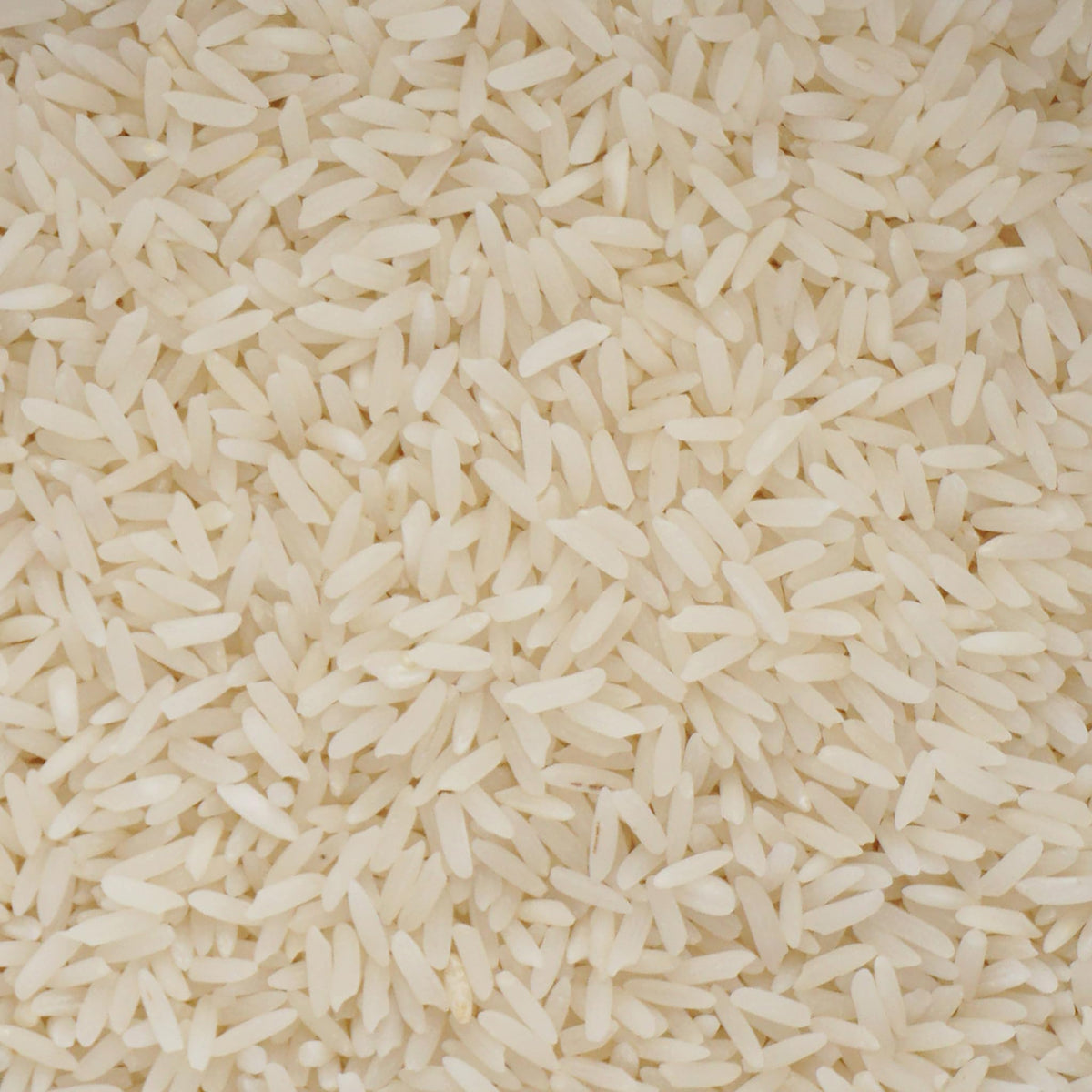 Jasmine Rice, 2 Pound Bulk Bag, Hampton Distribution