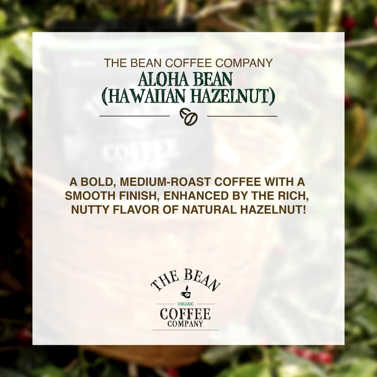 The Bean Organic Coffee Company Aloha Bean (Hawaiian Hazelnut), Medium Roast, Whole Bean Coffee, 16-Ounce Bags (Pack of 2)