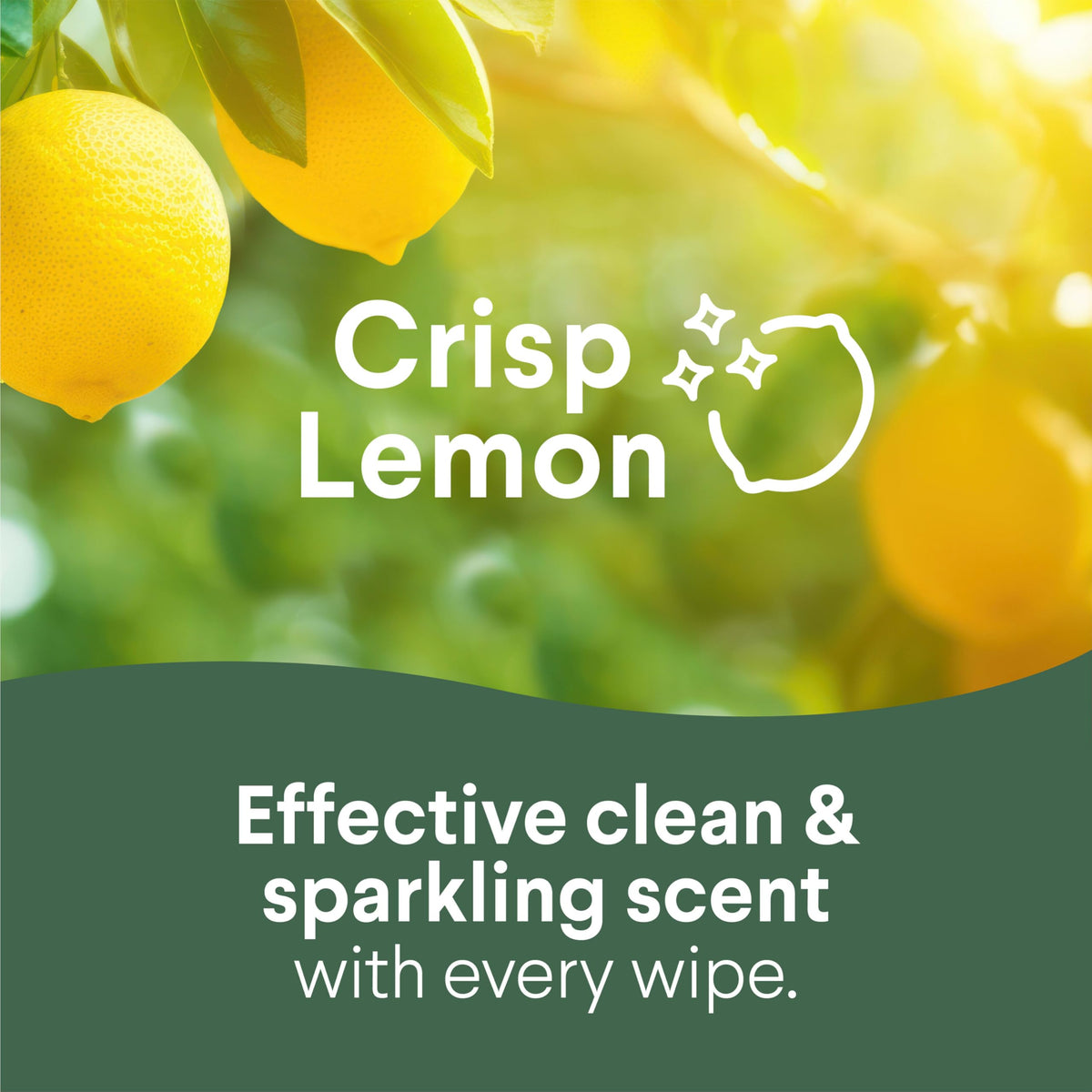 Clorox® Disinfecting Wipes, 35 Wipes Per Tub, Pack Of 3 Tubs