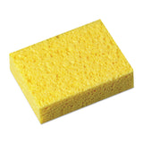 3M C31, Large (Pack of 1), Multiple Surfaces