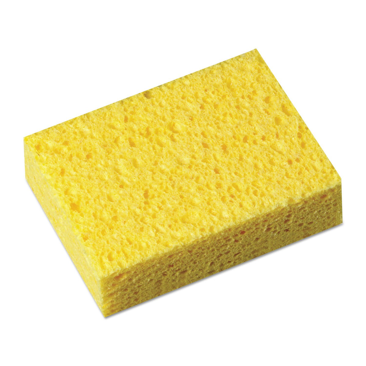3M C31, Large (Pack of 1), Multiple Surfaces