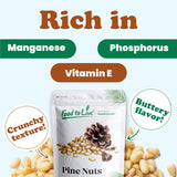 Food to Live - Pine Nuts, 7 Ounces - Whole Raw Pignolias, Unsalted, Kosher. Rich in Vitamin E, Protein. Great for Pesto, Salads, Homemade Desserts.