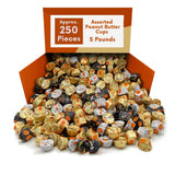 Assorted Mini Peanut Butter Candy Cups and Bars Individually Wrapped Bulk Bag - 5 lb (Approx. 250 pieces)
