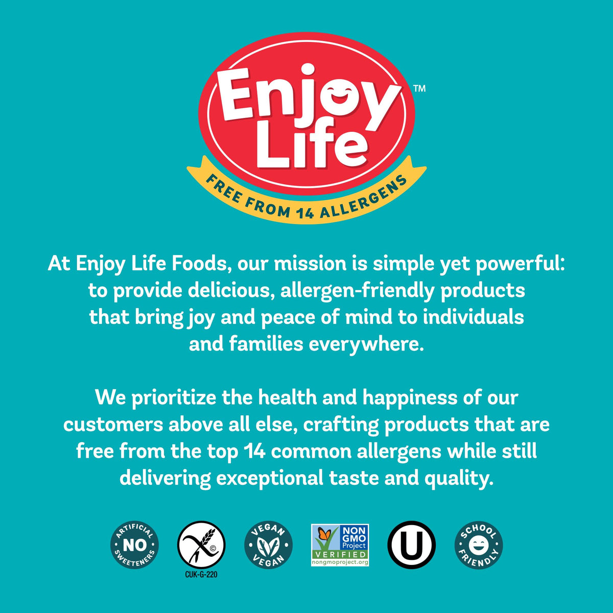 Enjoy Life Baking Dark Chocolate Morsels, Dairy Free , Soy Free, Nut Free, Non GMO, Gluten Free, Vegan Chocolate Chips, 9 oz bag