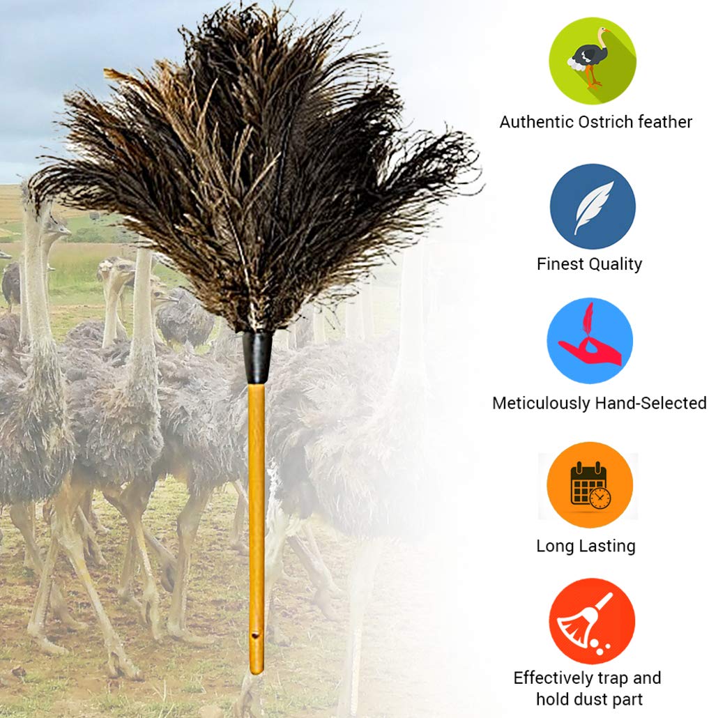 Dusters Killer Ostrich Feather Dusters MB03, 28" L, Large