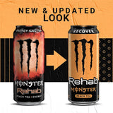 Monster Rehab - Peach Tea + Energy - 15.5oz (Pack of 16)