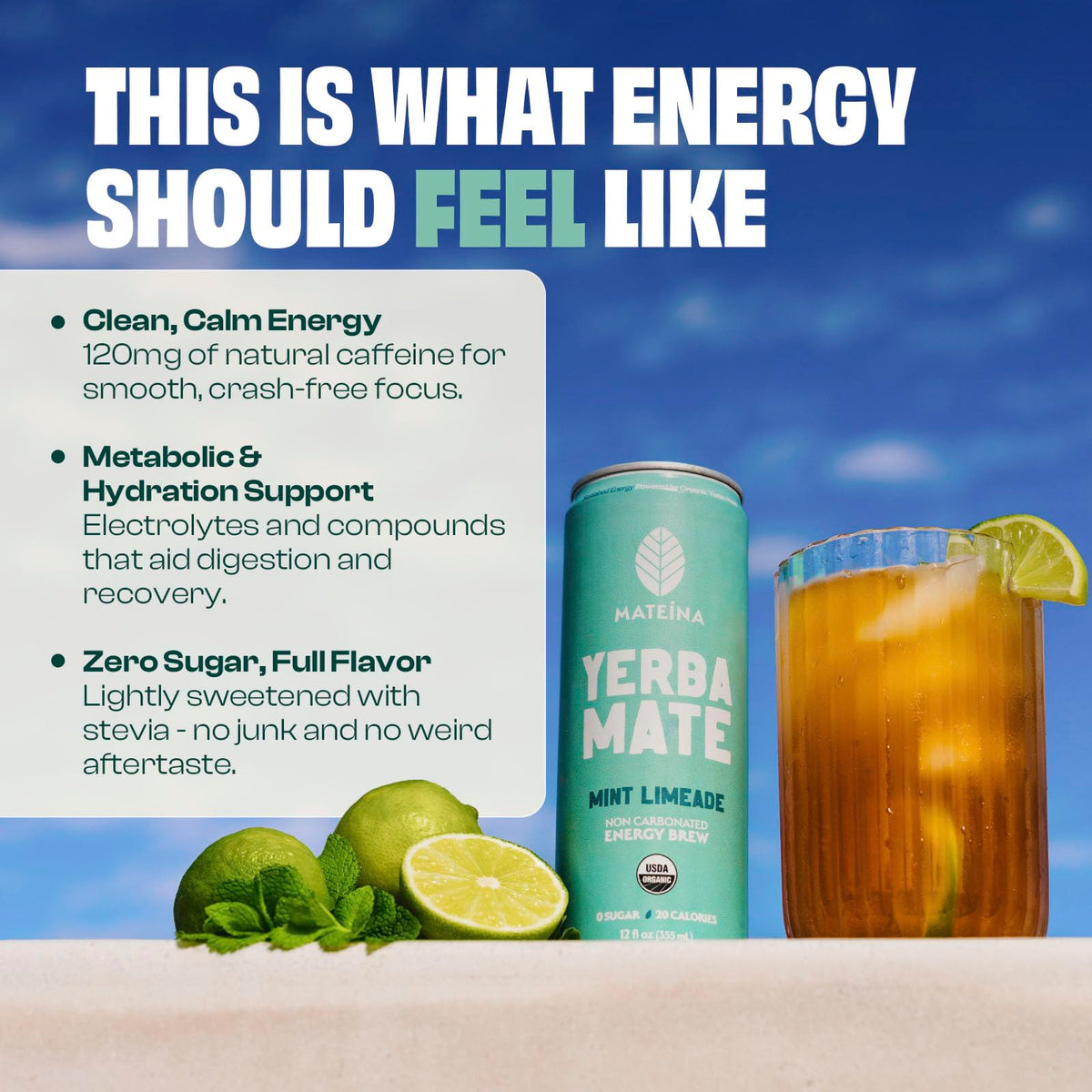 Mateina Organic Mint Limeade Yerba Mate, 12 FZ
