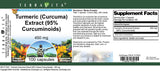 Turmeric (Curcuma) Extract (95% Curcuminoids) - 450 mg (100 Capsules, ZIN: 517042) - 3 Pack